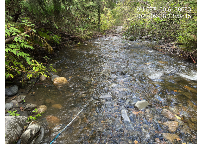 Typical habitat upstream of PSCIS crossing 198222.