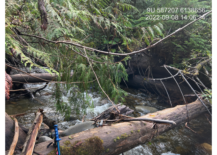 Collapsed bridge upstream of PSCIS crossing 198222.