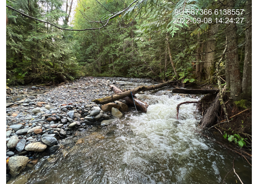 Typical habitat upstream of PSCIS crossing 198222.