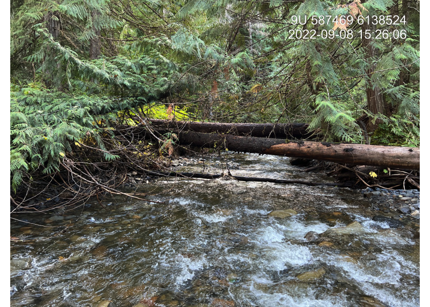 Typical habitat upstream of PSCIS crossing 198222.