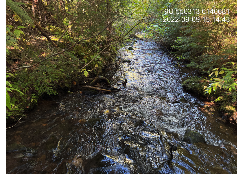 Typical habitat upstream of PSCIS crossing 198236.