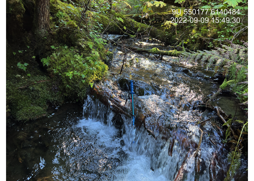 Typical habitat upstream of PSCIS crossing 198236.