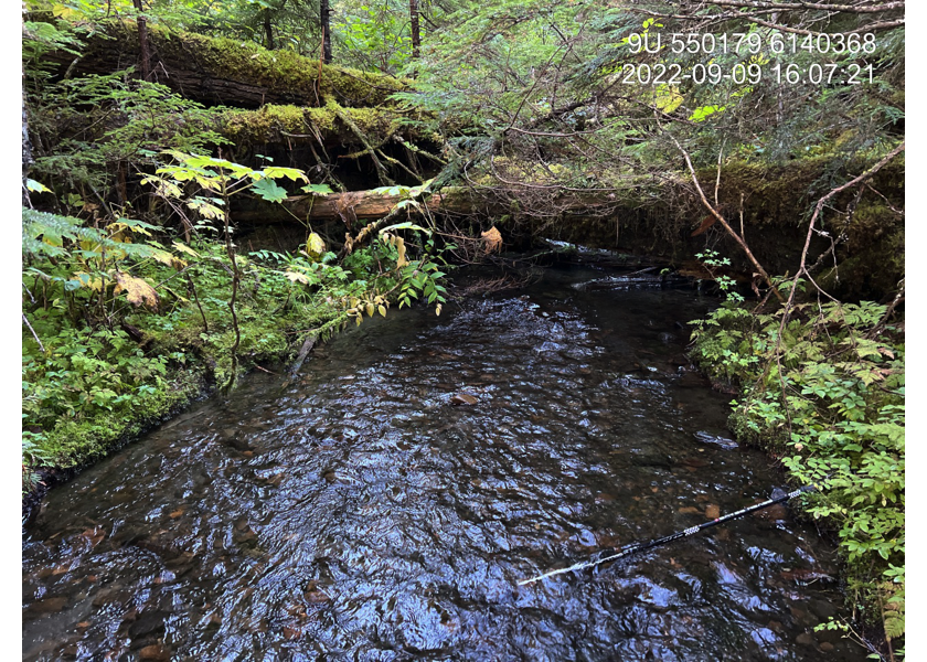 Typical habitat upstream of PSCIS crossing 198236.