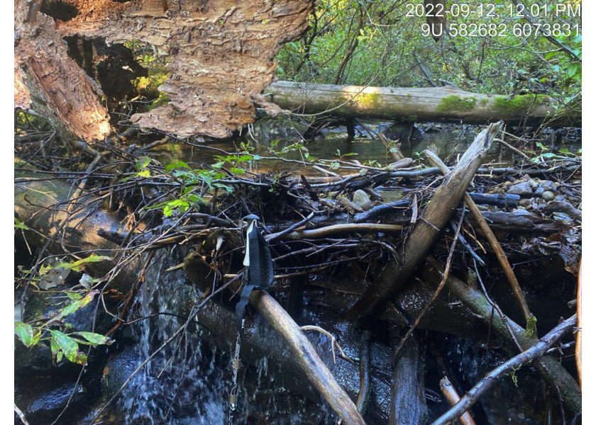 Large woody debris jam downstream of PSCIS crossing 8530.