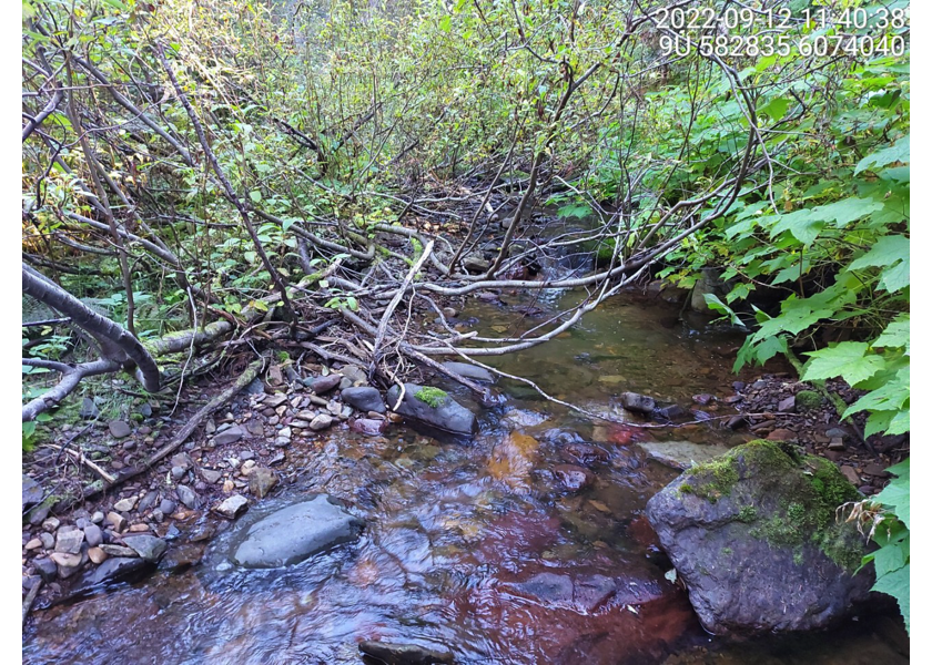 Typical habitat upstream of PSCIS crossing 8530.