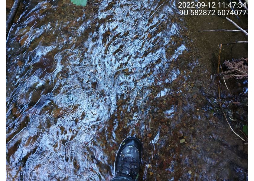 Area with suitable spawning gravels, upstream of PSCIS crossing 8530.