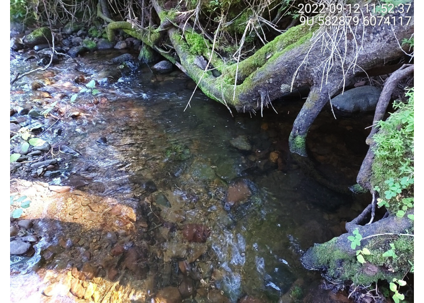 Typical habitat upstream of PSCIS crossing 8530.