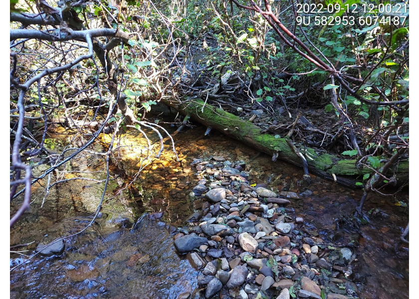 Typical habitat upstream of PSCIS crossing 8530.