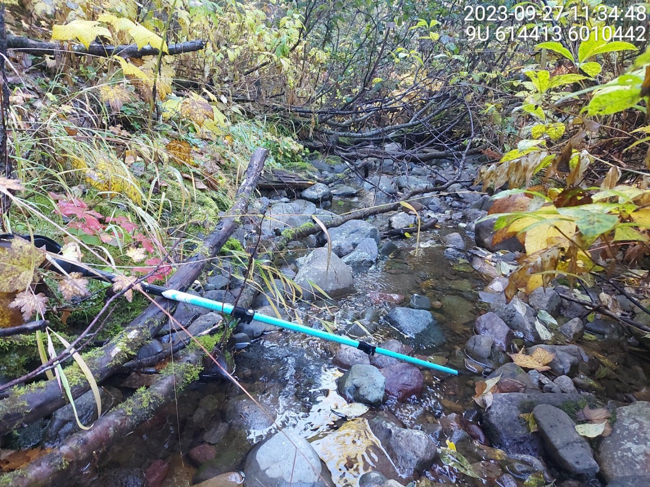 Typical habitat upstream of PSCIS crossing 197949.