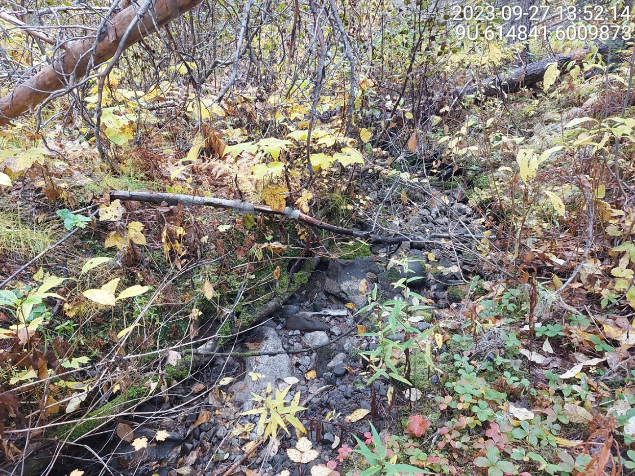 Typical habitat downstream of PSCIS crossing 198022.