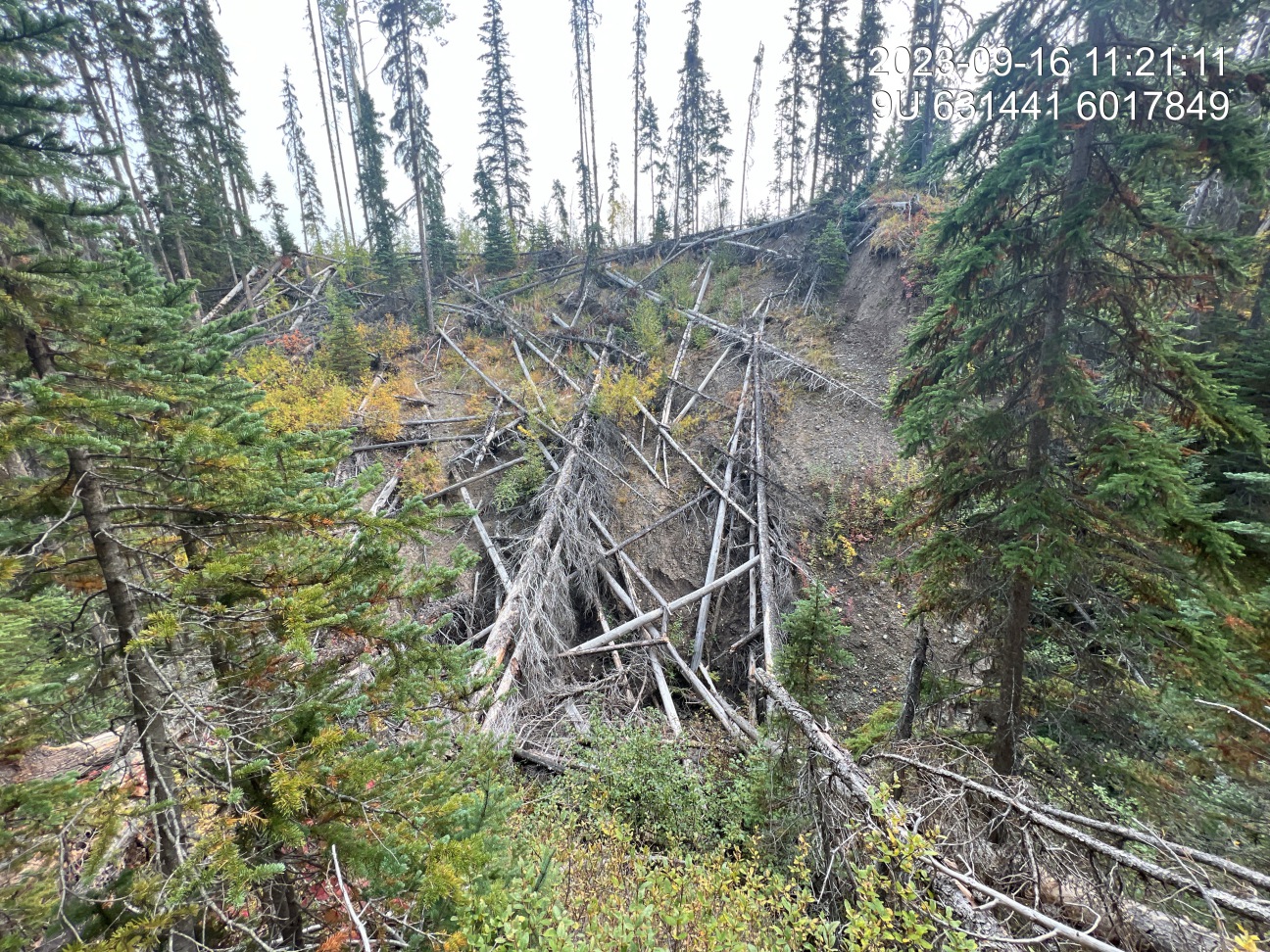 Landslide located 300m downstream of crossing 198942.