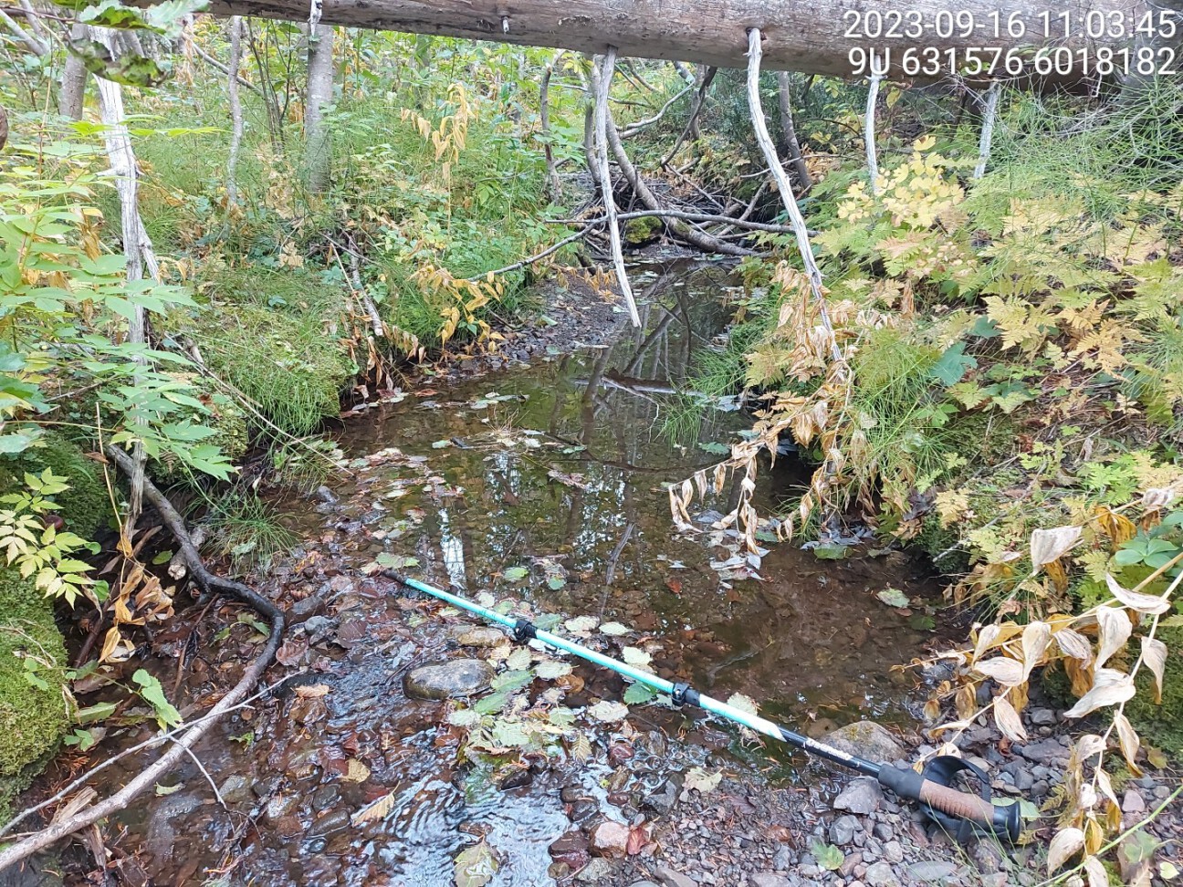 Typical habitat upstream of PSCIS crossing 198942.