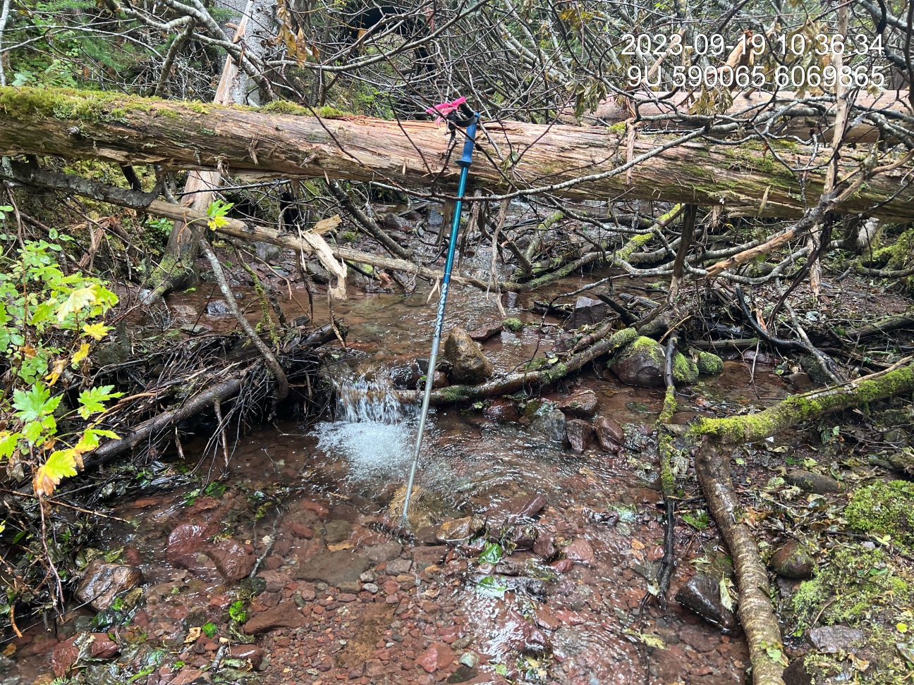 Typical habitat downstream of PSCIS crossing 8478.