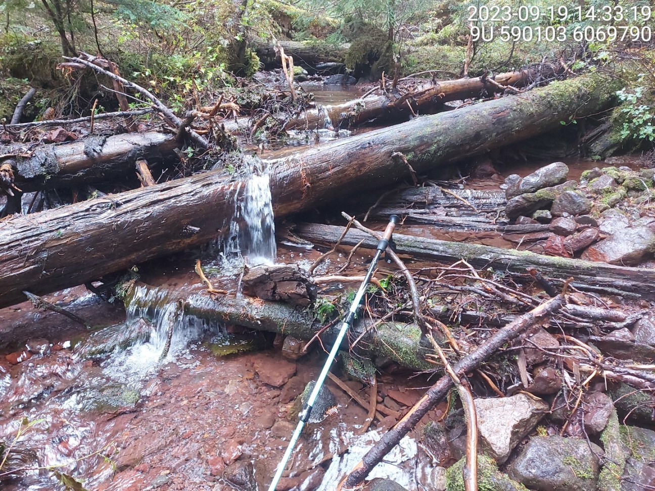 Typical habitat upstream of PSCIS crossing 8478.