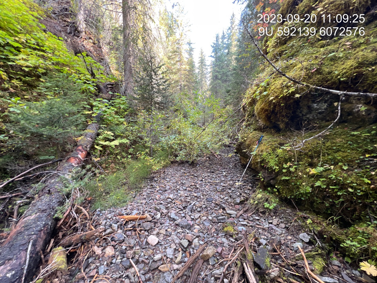 Typical habitat upstream of PSCIS crossing 8543.