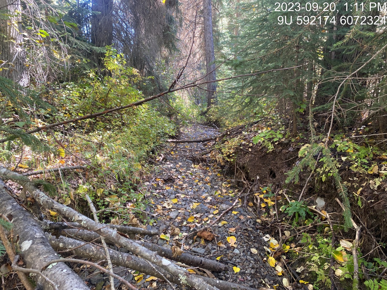 Typical habitat downstream of PSCIS crossing 8543.